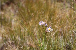 IMG_4282