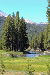 IMG_4292