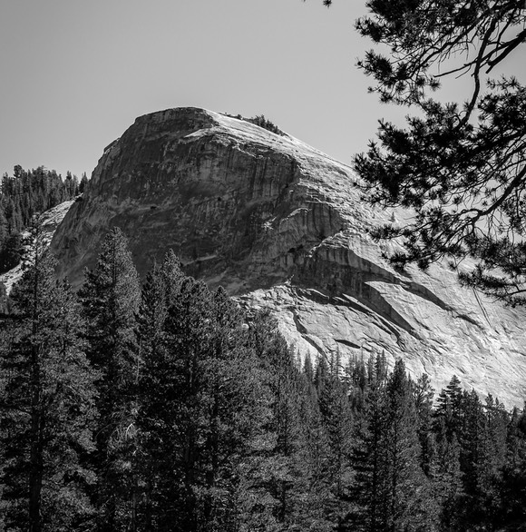 IMG_4306