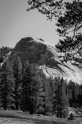 IMG_4306