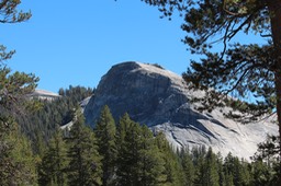 IMG_4307