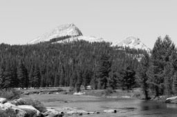 IMG_4349