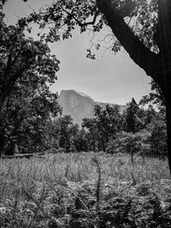 IMG_8359