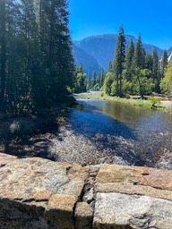IMG_8364