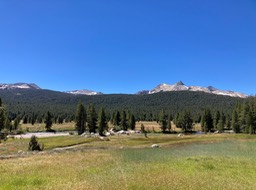 IMG_8411