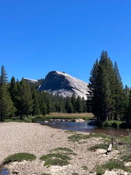 IMG_8444