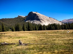 IMG_8451