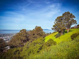 IMG_3095