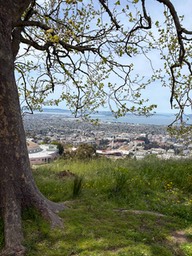 IMG_3108-2