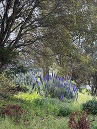 IMG_3110