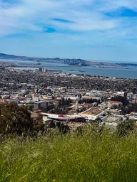 IMG_3122