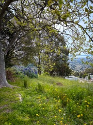 IMG_3125