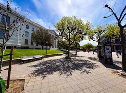 IMG_3163