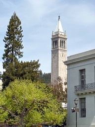 IMG_3166