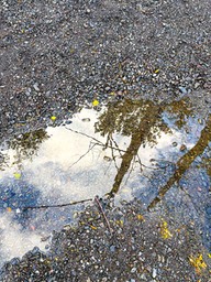 IMG_3682