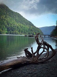 IMG_3684