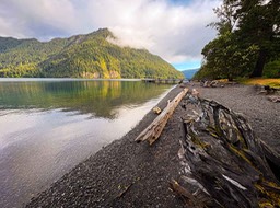 IMG_3687
