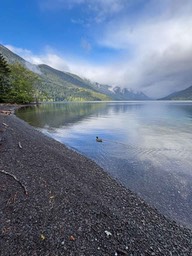 IMG_3700