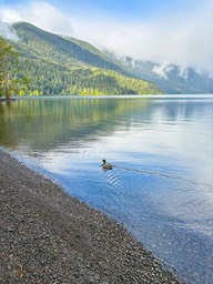 IMG_3701
