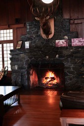 IMG_4258