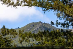 IMG_0134