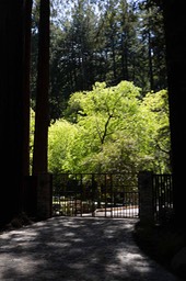 IMG_0139
