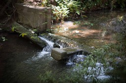 IMG_0162