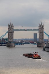 IMG_1039.jpg