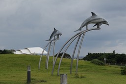 IMG_9366