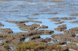 IMG_0116.jpg