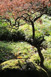 IMG_0125