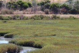 IMG_0143.jpg
