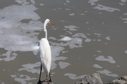 IMG_0146.jpg
