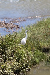 IMG_0149.jpg