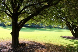 IMG_0160