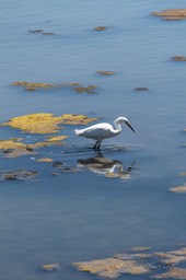 IMG_0166.jpg