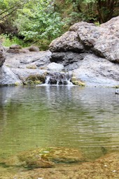IMG_1540