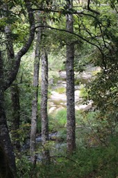 IMG_1566
