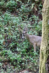 IMG_1596