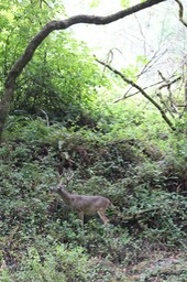 IMG_1635