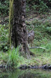 IMG_1655