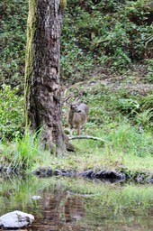 IMG_1661