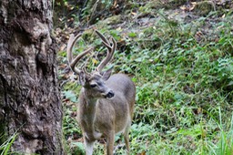 IMG_1664