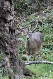 IMG_1666