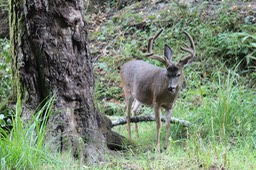 IMG_1684