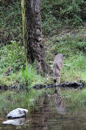 IMG_1690
