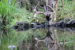 IMG_1696
