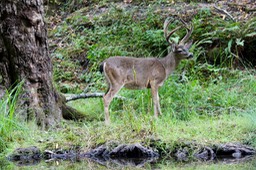 IMG_1705