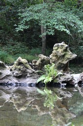 IMG_1713