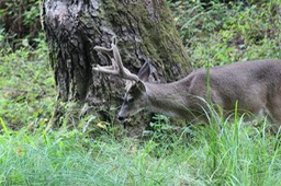 IMG_1744